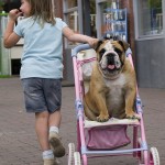 Thumbnail image for Benefits of pets for kids