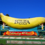 Thumbnail image for Big Banana, Coffs Harbour